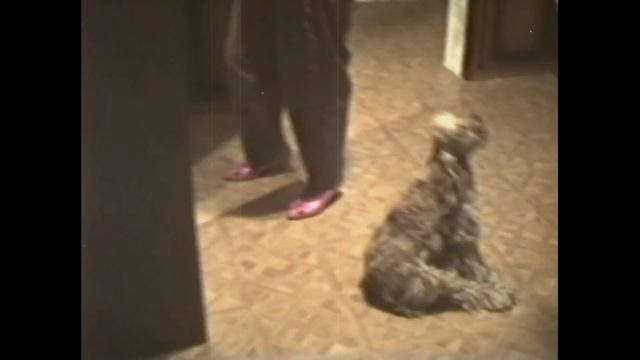 23 декабря 1995-2 смотреть онлайн