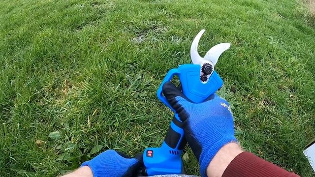 Foarfeca electrica pomiculturã??????/The perfect gift for gardeners! смотреть онлайн