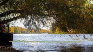 Сапар Алиев - Не найду такую как ты 2023