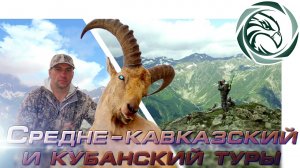 ОХОТА НА СРЕДНЕКАВКАЗСКОГО И КУБАНСКОГО ТУРА