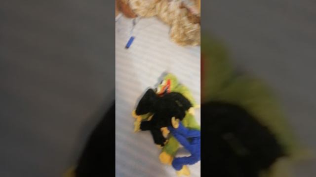 Хаги ваги синий красный розовый чёрный и зелёный
