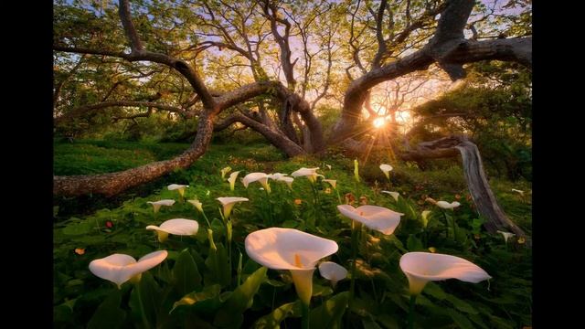 10 день воздержания и новые плюсы