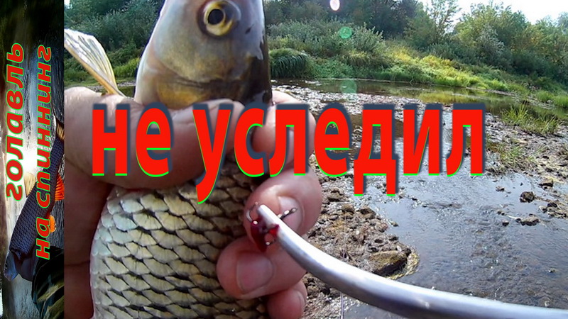 В этот раз обошлось... Рыбалка на ультралайт. Голавль на спиннинг. смотреть онлайн