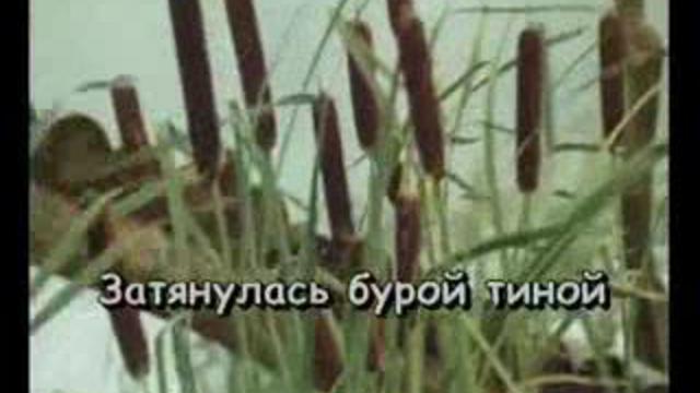 караоке романс черепахи Тортиллы смотреть онлайн