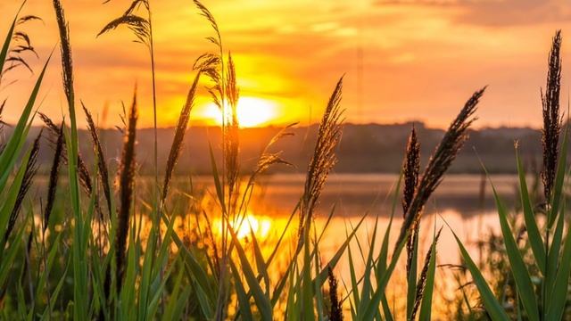 Лунное. Не могу эту ночь провести я с тобой.Тэффи (слушать стихи о любви) смотреть онлайн