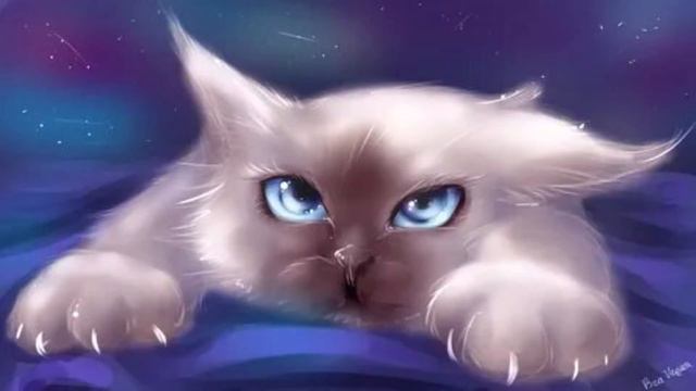 Глаза кошки смотреть онлайн