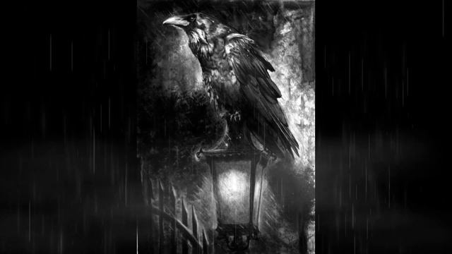 THE RAVEN by TOMMY K смотреть онлайн