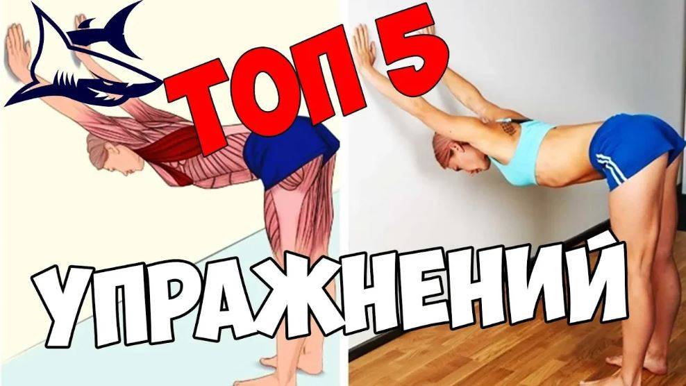 ТОП 5 упражнений для растяжки. Гибкость в домашних условиях. Стретчинг смотреть онлайн