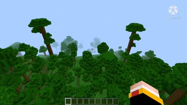 Я ПРОВЕРИЛ СИД НА ДЕРЕВНЮ ЖИТЕЛЕЙ НОМЕР 13 В МАЙНКРАФТ 1.14.60. НЕ РАБОТАЕТ. смотреть онлайн