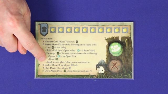 Mycelium: A Mushling Game - How to Play Board Game with Stella & Tarrant смотреть онлайн