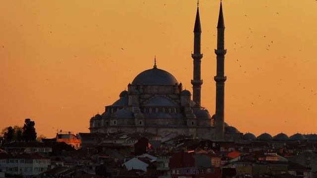 "Каждого ребенка в день его рождения касается шайтан..." смотреть онлайн