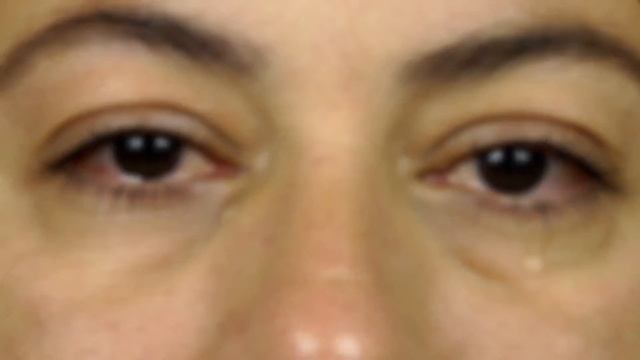 Рыжий кот выпрашивал мясо в магазине и уносил его. Продавщица решила проследить за ним. смотреть онлайн