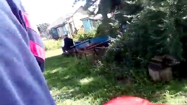 муравей смотреть онлайн