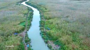 Средний канал