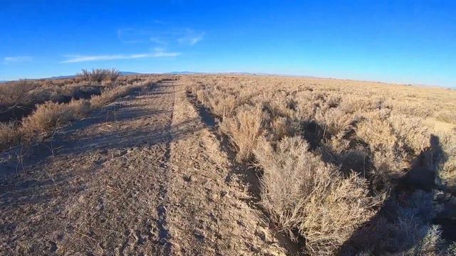 EPIC Rabbit Hunting Using .17  HMR Rifle CATCH CLEAN COOK