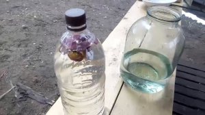 Сделал квас из березового сока. 3 рецепта #6