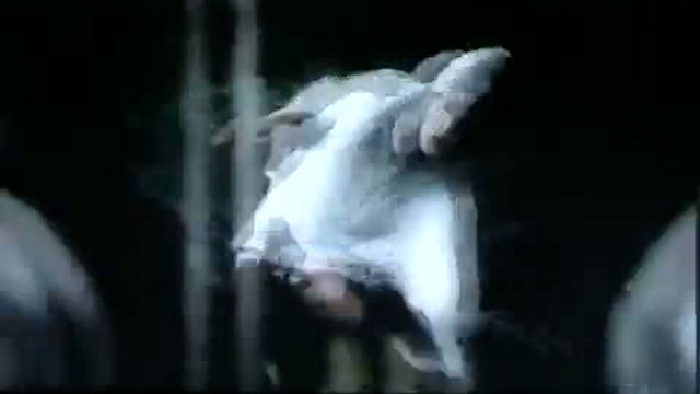 Бейте коней