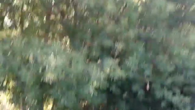 RA3RPS - река Воронеж 29.07.2018 г. смотреть онлайн