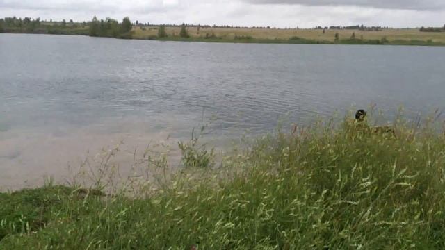 MAX 2 Tula смотреть онлайн