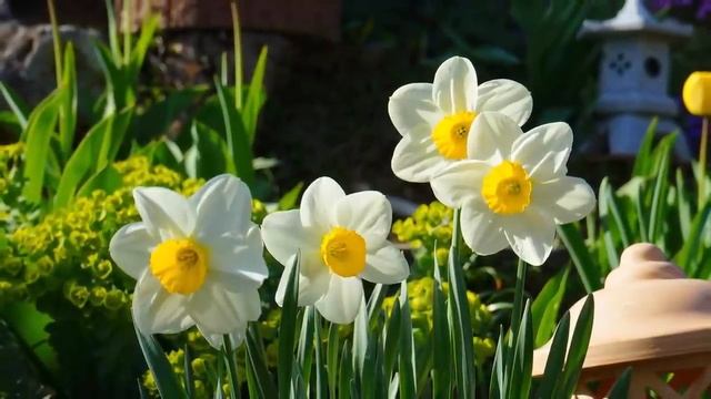 Новинка 2022! Сборник невероятно красивой, завораживающей музыки для души! Сергей Грищук смотреть онлайн