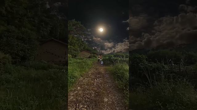 Невообразимые