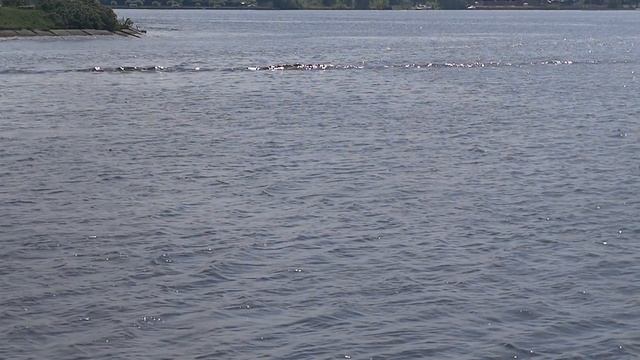 Пяьнство. Неверующий муж. Супружеские измены. Святые отцы смотреть онлайн