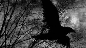 Эдгар Аллан По - Ворон (The Raven)