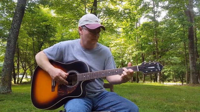 Snakes in the Grass on Epiphone AJ 500 rce смотреть онлайн