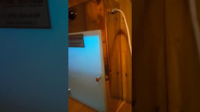 Стерилизатор ножей УФ.