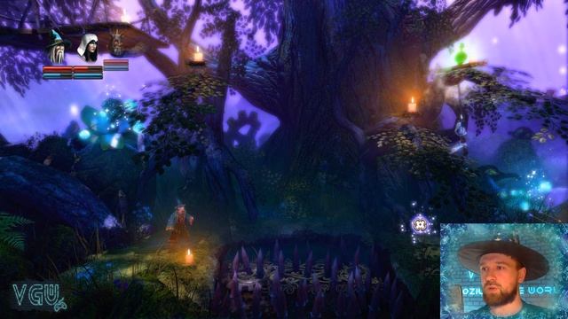 Trine Enchanted Edition - Прохождение. Часть 9: Дивный Лес (Fangle Forest) смотреть онлайн
