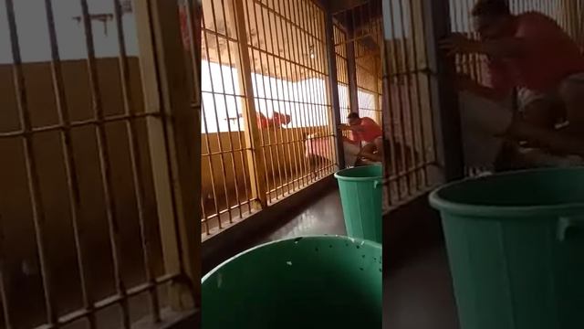 Vídeo Mostra Como Foi A Fuga Dos Detentos Na Penitenciária De Luziânia
