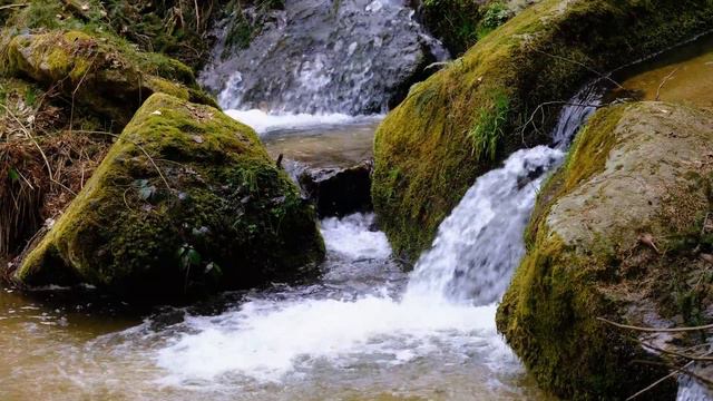 Природа #река #водопад #пароги #природа смотреть онлайн