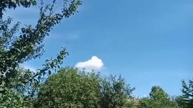 На приёме у докторши. смотреть онлайн