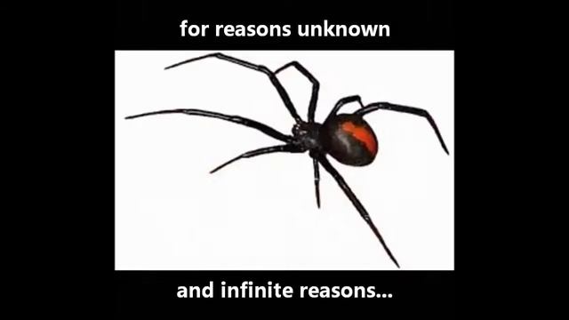 Life On Mars - King of Spiders смотреть онлайн