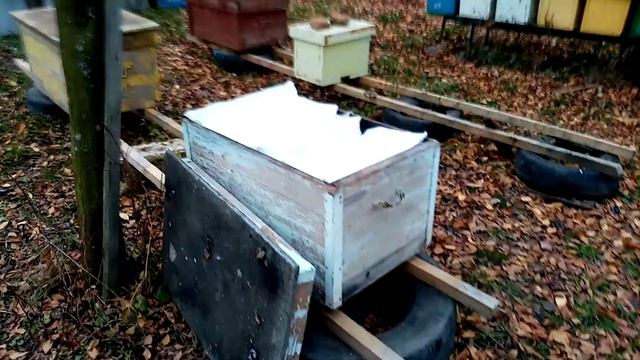 Утепляем пчёл в зиму