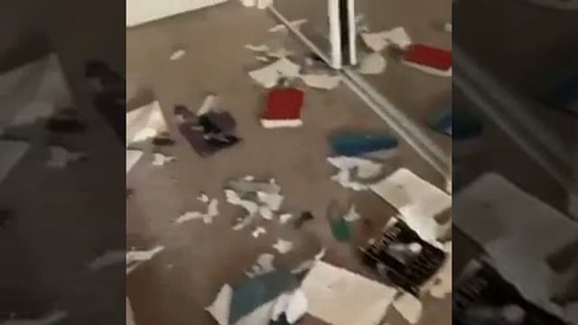 Был на квартиру налет?
— Нет.
— К нам приходил бегемот?
— Нет.
— Может быть, дом не наш?
— Наш.
— М смотреть онлайн