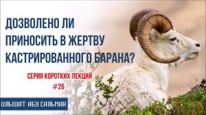 Ильшат Абу Сальман. Дозволено ли приносить в жертву кастрированного барана? Лекции Курбан-Байрам