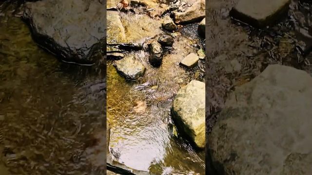 Лесной Дух . Водопад . mp4 смотреть онлайн