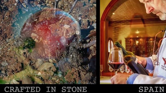 The Wines of Cariñena смотреть онлайн