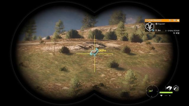 ОХОТА В ЗАКАЗНИКЕ КУАТРО КОЛИНАС theHunter Call of the Wild # 257 смотреть онлайн