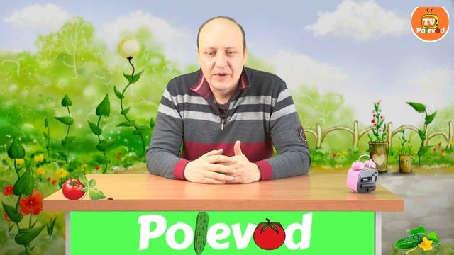 Электропроводность растений! Что это?! смотреть онлайн