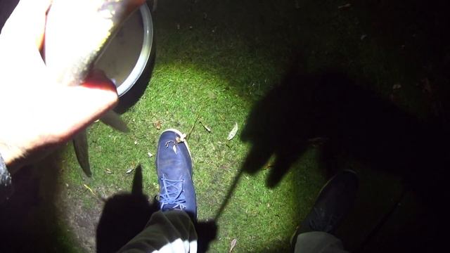 Рыбалка в Голландии . Красивые места , большие эмоци , Классно порыбачили! смотреть онлайн