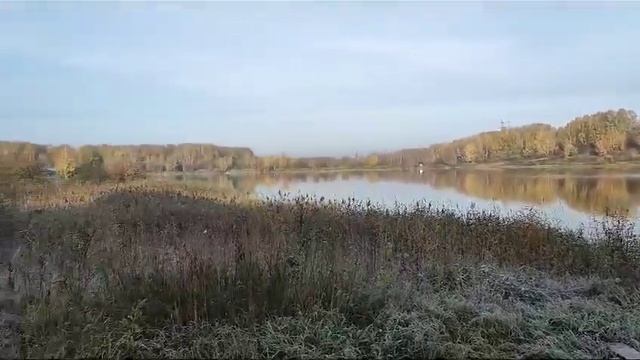 ДНТ "Гвардия", МО Станционный сельсовет, Новосибирский район. смотреть онлайн