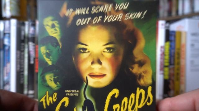 THE CAT CREEPS (US Vinegar Syndrome Blu-ray Slipcover) / Zockis Sammelsurium Nr. 3701 смотреть онлайн
