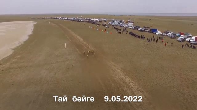 09.05.2022г. Кызылординская область, Тай бәйге, 1-место МУСТАНГ (Балтик-Амрита) смотреть онлайн
