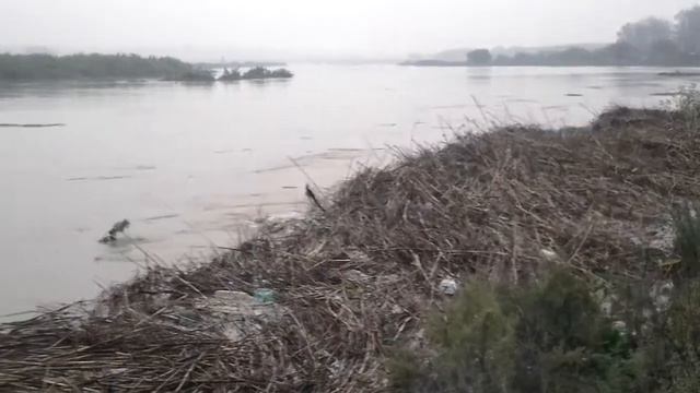 Августовский потоп в Тарановке 2 смотреть онлайн