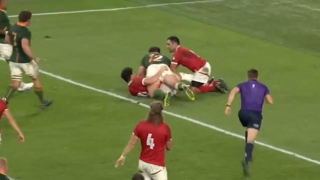 Will They Win The 2023 Rugby World Cup? | Relive The Springboks Road To Victory In 2019 смотреть онлайн