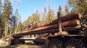 Идет процесс погрузки бревна, вывозим лес из делянки!