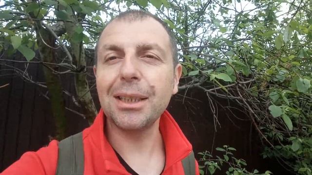 4 июня день Василиска #годссерегой смотреть онлайн