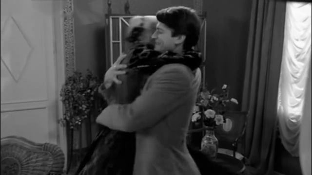 Я тебя никому не отдам смотреть онлайн